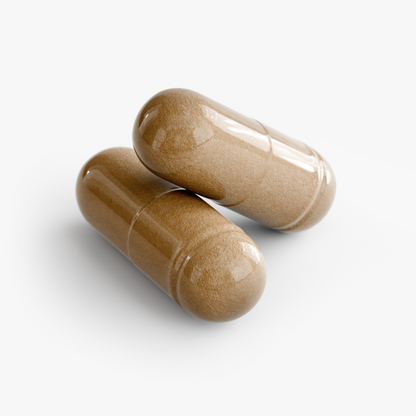 LIVER & ORGAN SUPPORT