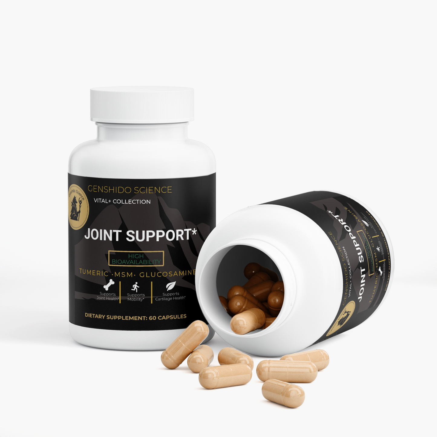 JOINT SUPPORT