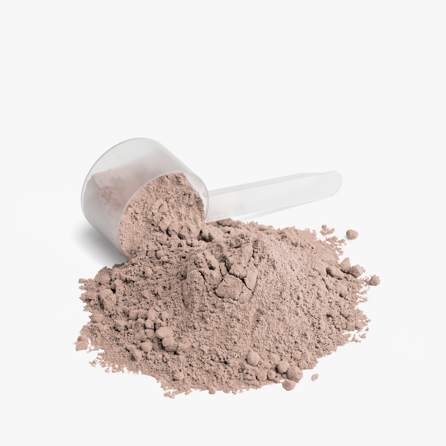 COCOA PLANT PROTEIN